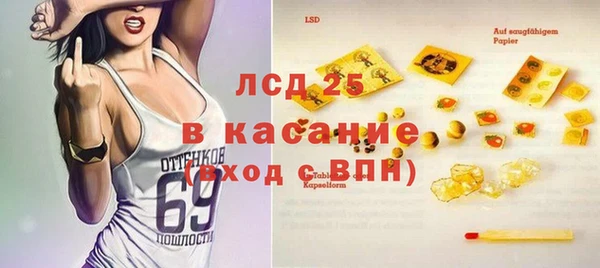 ECSTASY Лагань