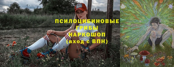 прущий лед Вязьма