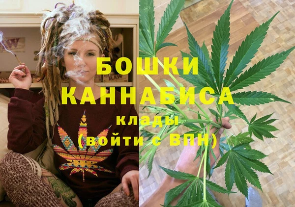 ECSTASY Лагань